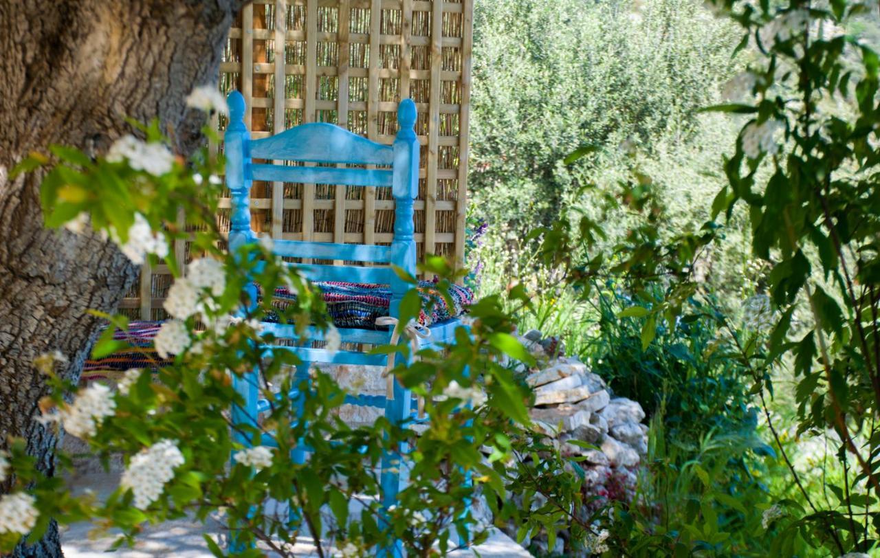The Olive Cottage - Ithaca Vathy  Zewnętrze zdjęcie