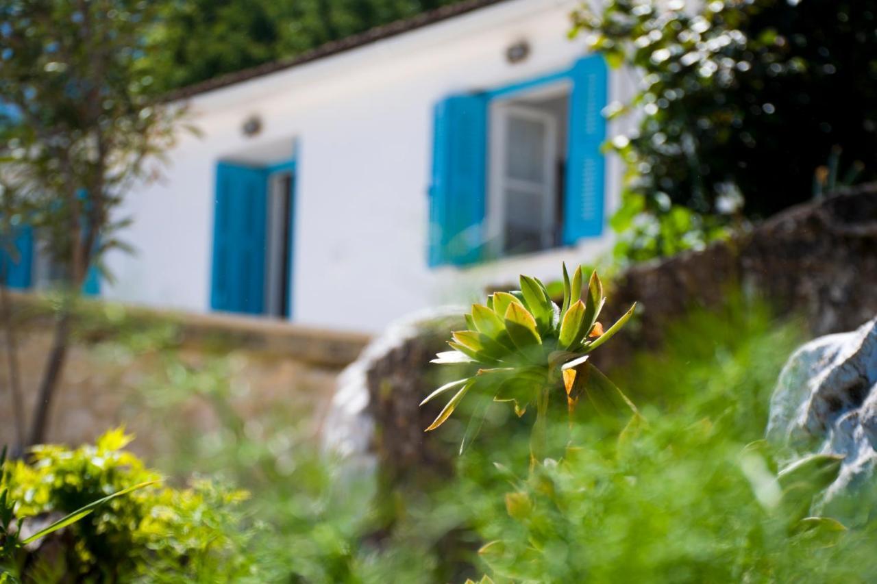 The Olive Cottage - Ithaca Vathy  Zewnętrze zdjęcie